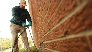 Termites Control